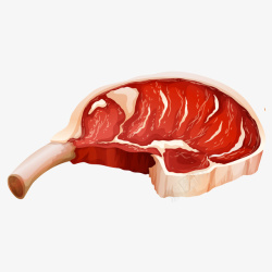 美味肉制品矢量图素材