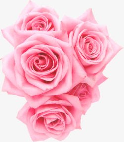 创意海报教师节花朵粉色素材