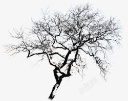 黑色冬季树枝装饰素材