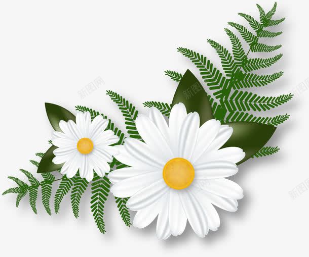 摄影手绘女装海报白色花朵png免抠素材_88icon https://88icon.com 女装 摄影 海报 白色 花朵