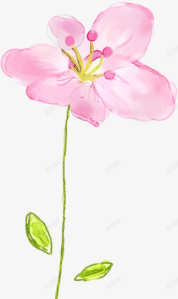 手绘淡彩花卉海报png免抠素材_88icon https://88icon.com 海报 花卉