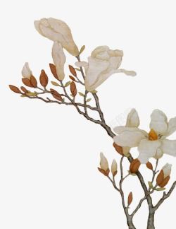 白色花卉展板素材