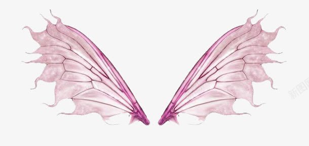 紫色的翅膀png免抠素材_88icon https://88icon.com 紫色 纹理 翅膀 蝴蝶的翅膀