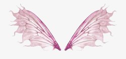 紫色的翅膀素材
