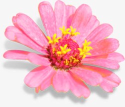粉色水墨古典花朵手绘素材