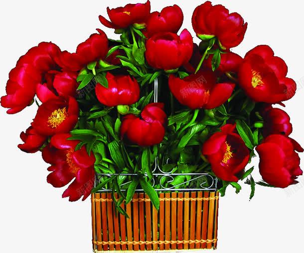 种植玫瑰花篮png免抠素材_88icon https://88icon.com 玫瑰 种植 花篮 设计