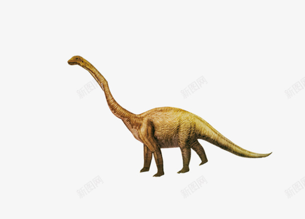 一条手绘恐龙png免抠素材_88icon https://88icon.com 一条 恐龙 手绘 手绘恐龙