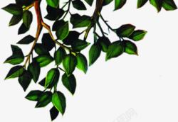 绿色树枝欧式花纹素材