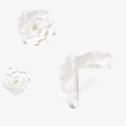 白色怒放的花朵素材