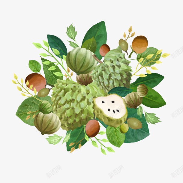 绿植装饰png免抠素材_88icon https://88icon.com 叶子 植物 水果 矢量装饰 绿植 装饰