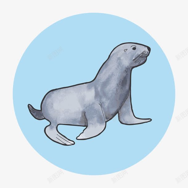 手绘海豹图案png免抠素材_88icon https://88icon.com 可爱的海豹 海豹 聪明的海豹