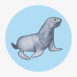 手绘海豹图案素材