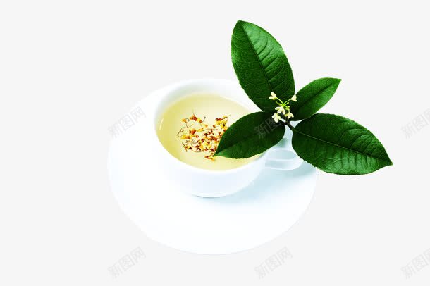 桂花花茶png免抠素材_88icon https://88icon.com 桂花 桂花花瓣 植物 绿叶 花卉 花干 花瓣 花茶