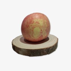 木桩上的苹果素材