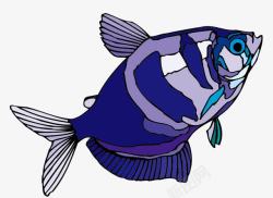 深蓝色观赏鱼素材