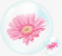 气泡包裹粉色花素材
