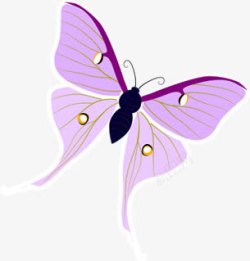 紫色手绘精美蝴蝶素材