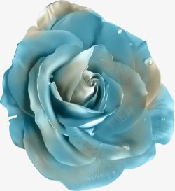 蓝色的花素材