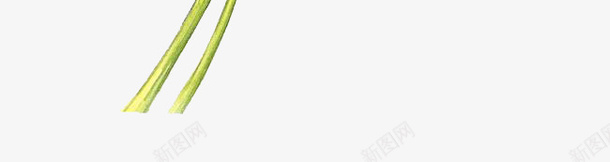 水彩红色蔷薇花图png免抠素材_88icon https://88icon.com 创意 卡通手绘 叶子 小清新 植物 水彩 绿叶 花卉 花朵 蔷薇花 鲜花