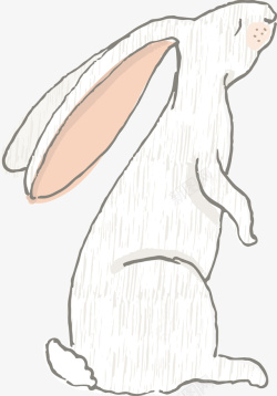 卡通兔子素材