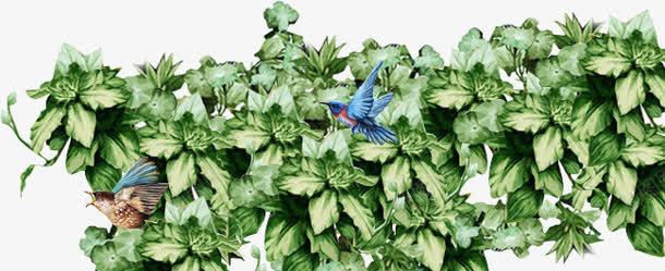 绿色树叶追逐的蜂鸟海报背景png免抠素材_88icon https://88icon.com 树叶 海报 绿色 背景 蜂鸟 追逐