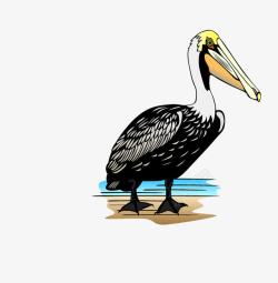 黑色海鸟手绘的海鸟高清图片
