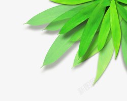 绿色清新粽叶装饰图案素材