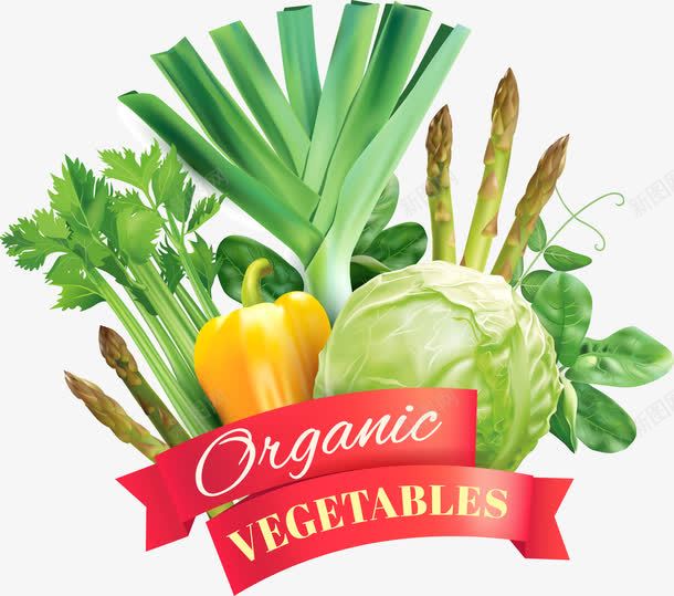 有机蔬菜png免抠素材_88icon https://88icon.com 有机 蔬菜