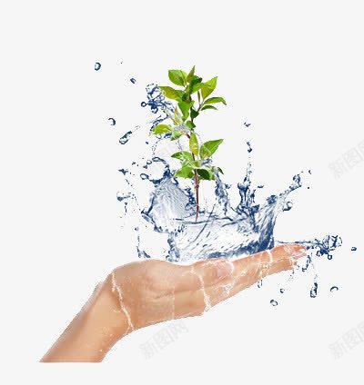 托在手中的树苗png免抠素材_88icon https://88icon.com 呵护 成长 清水