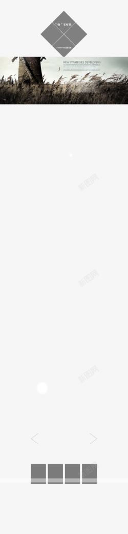 芦苇野草促销装饰图高清图片