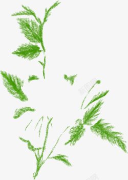 绿色手绘艺术树叶植物素材