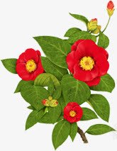 手绘红色花朵叶片png免抠素材_88icon https://88icon.com 叶片 手绘 红色 花朵