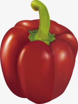 新鲜蔬菜之红菜椒矢量图素材