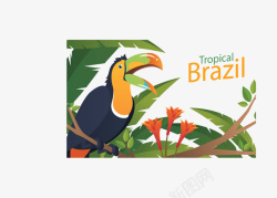 巴西旅游度假海报矢量图素材