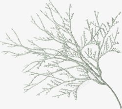 白雪树枝素材