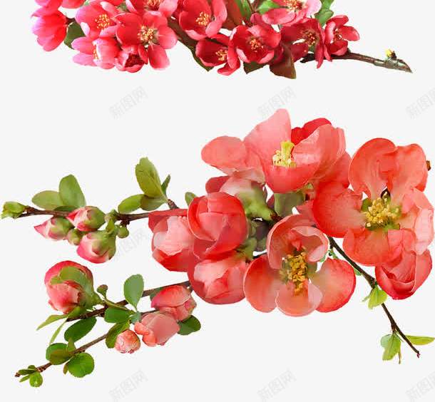 唯美海报花朵卡通创意卡通树枝花朵png免抠素材_88icon https://88icon.com 创意 卡通 树枝 海报 花朵