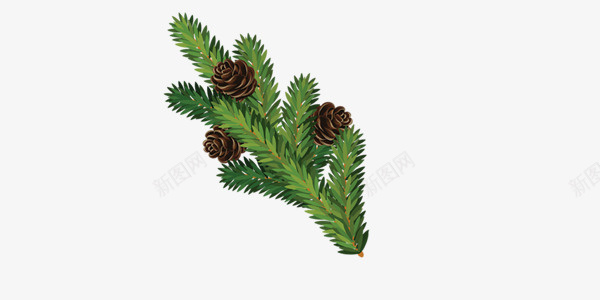 绿色圣诞节植物png免抠素材_88icon https://88icon.com 圣诞节 实物 植物 绿色 装饰