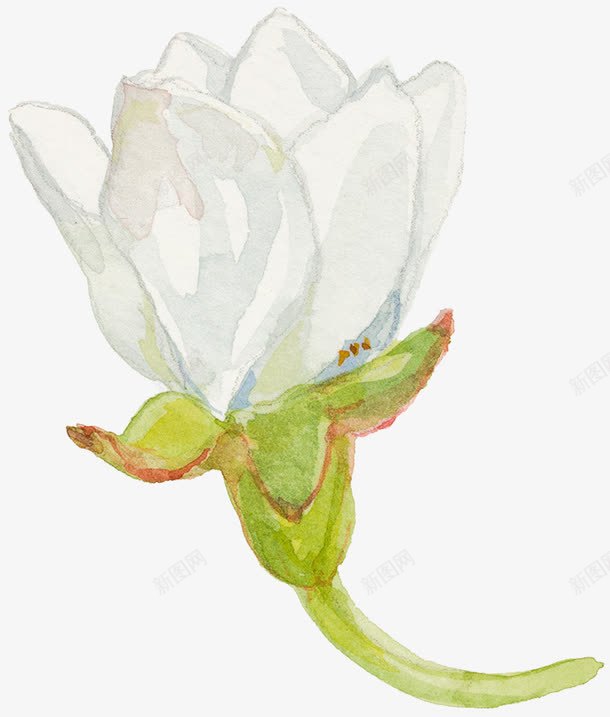 一朵白色花png免抠素材_88icon https://88icon.com 卡通 叶子 手绘 枝干 桔梗 白色 简图 绿色