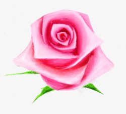 粉色梦幻花朵玫瑰植物素材