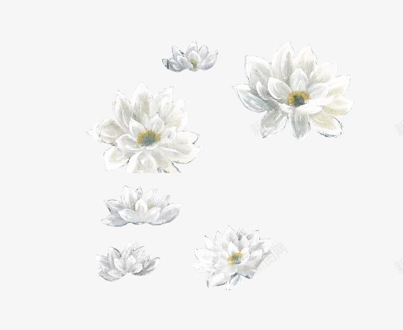 创意合成效果白色的花卉植物png免抠素材_88icon https://88icon.com 创意 合成 效果 植物 白色 花卉