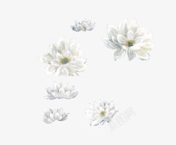 创意合成效果白色的花卉植物素材