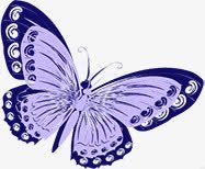 紫色蝴蝶创意广告素材