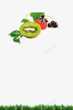 营养水果素材