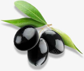 黑橄榄装饰png免抠素材_88icon https://88icon.com 水果 食材 食物 黑橄榄