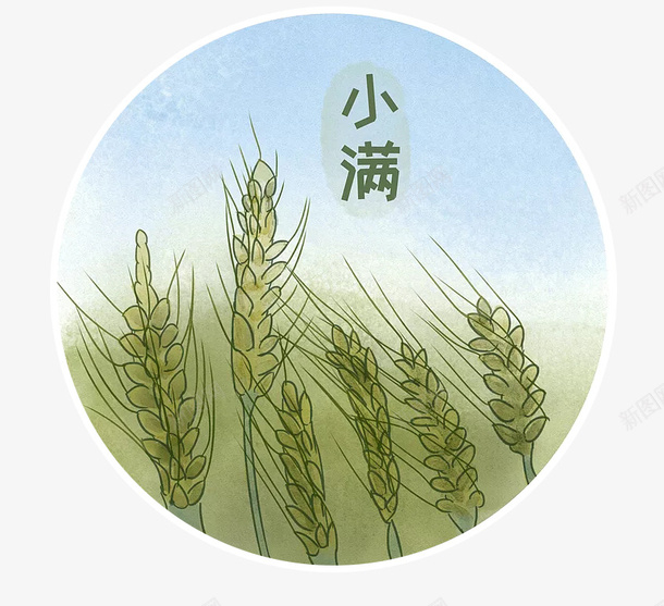 小清新二十四节气小满psd免抠素材_88icon https://88icon.com 24节气 二十四节气 小清新 小清新二十四节气小满 小满 节气