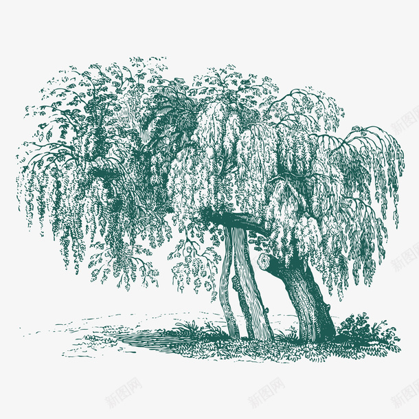 卡通手绘绿色线条绘画树木png免抠素材_88icon https://88icon.com 卡通 手绘 树木 线条 绘画 绿色