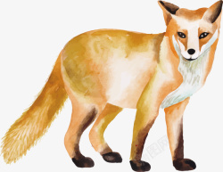 手绘水彩狐狸矢量图素材