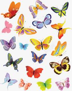 彩色飞舞的蝴蝶素材