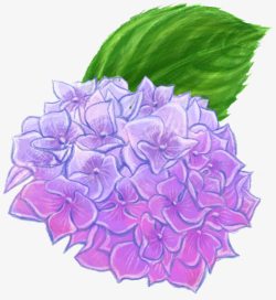 手绘紫色球花海报素材