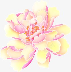 手绘粉黄色九月菊素材